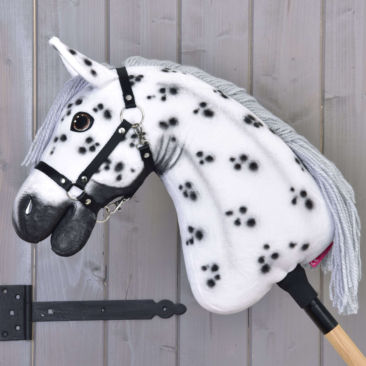 Hobby Horse Chantal ló bal profilból: látszanak a fekete foltok a fehér nyakon és a fekete kötőfék