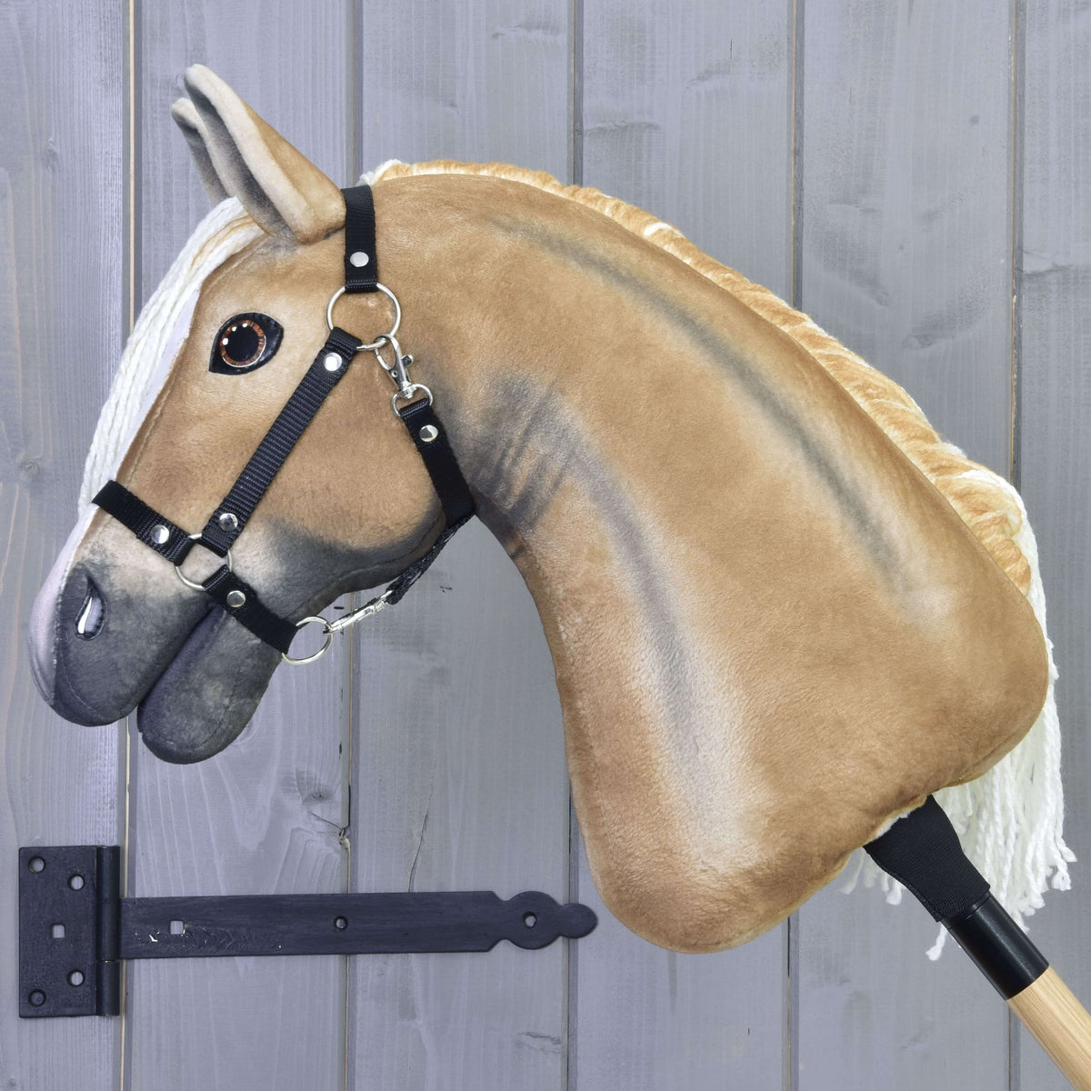 Golden Hobby Horse in profile with the mane on the far side, showing the shaded neck and black nylon halter