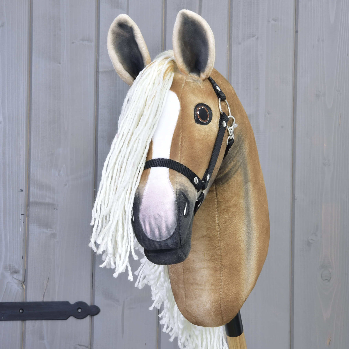 Front view of the golden Hobby Horse with a white blaze, pink nose, cream forelock and black halter