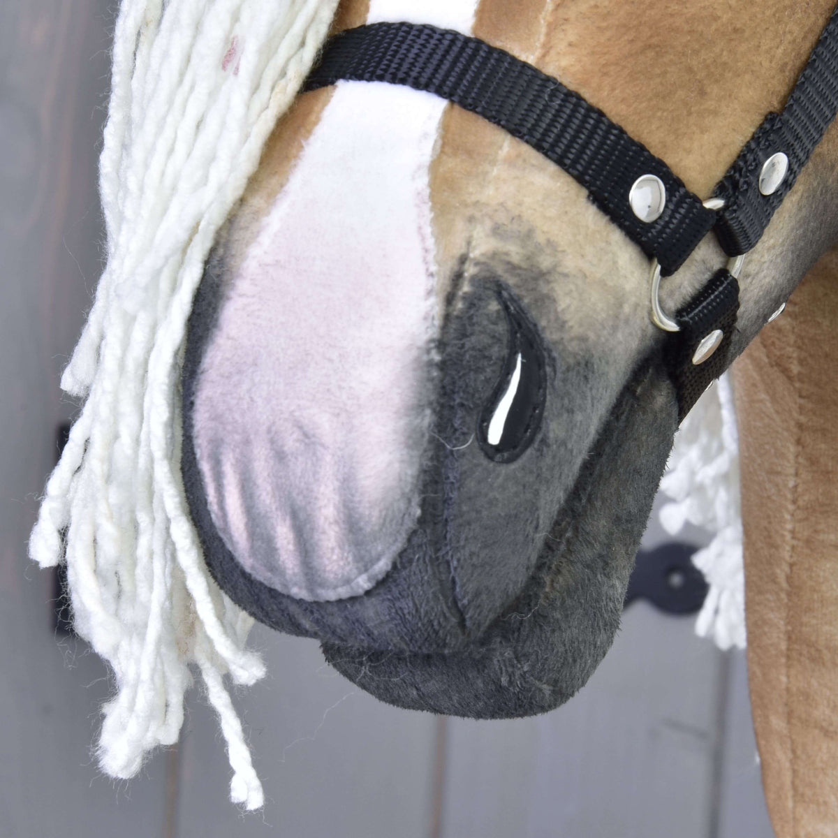 Close-up of the shaded grey muzzle with a pinkish white blaze, black nostril and black halter noseband