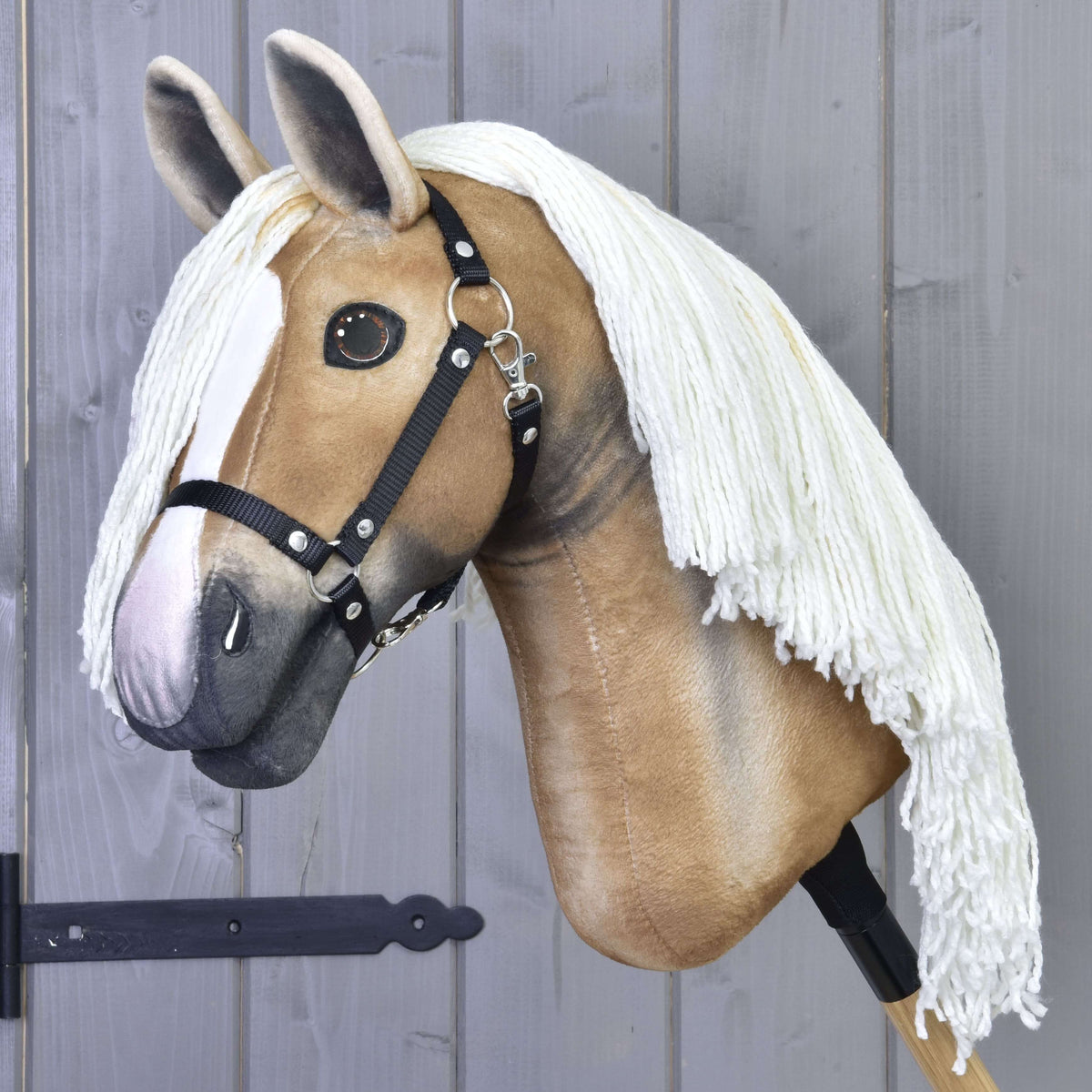 Golden Hobby Horse with a shaded grey muzzle, glossy brown eyes and black halter, the cream mane over the neck