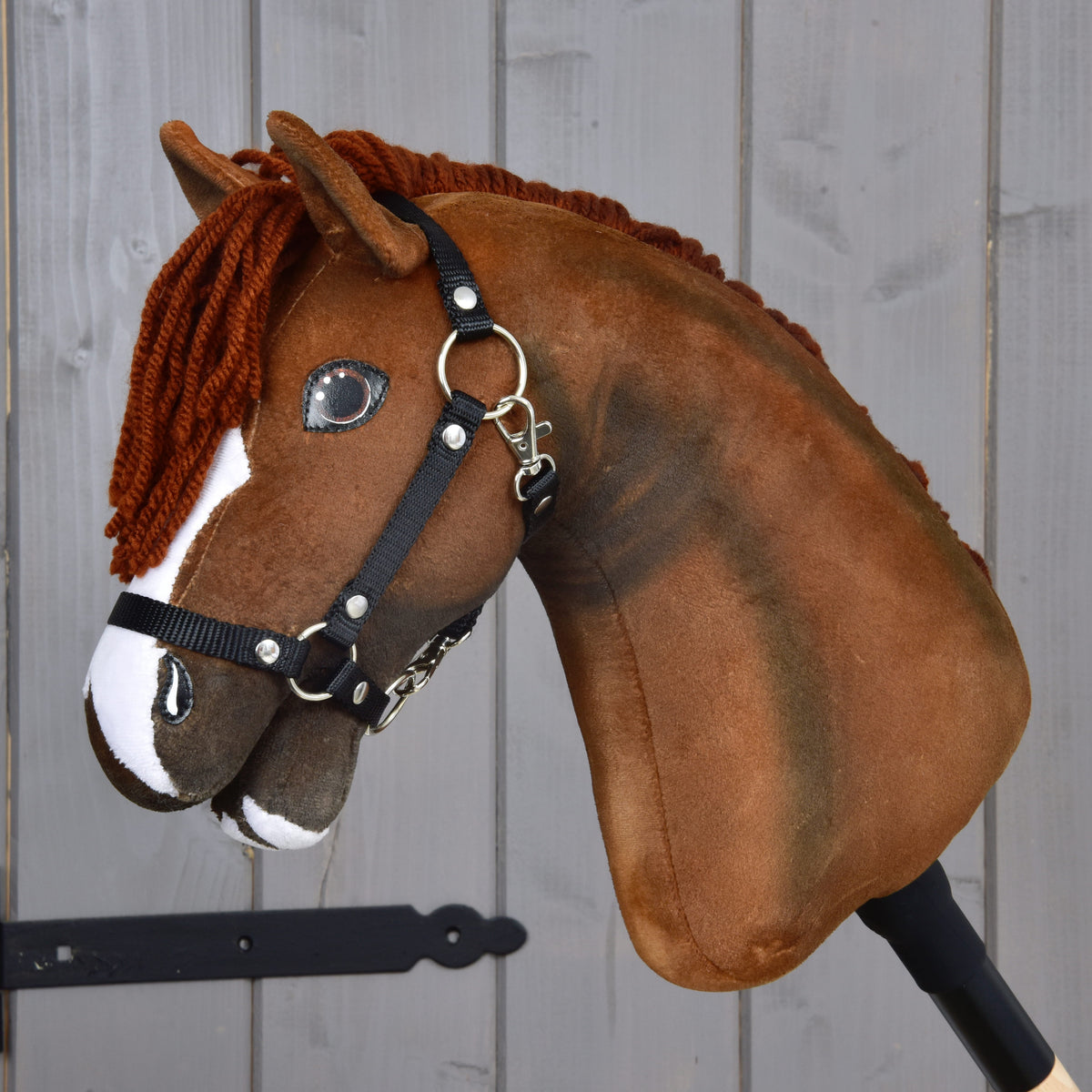Hobby Horse Cooper with Black Halter facing left, mane on the far side showing the shaded brown plush neck