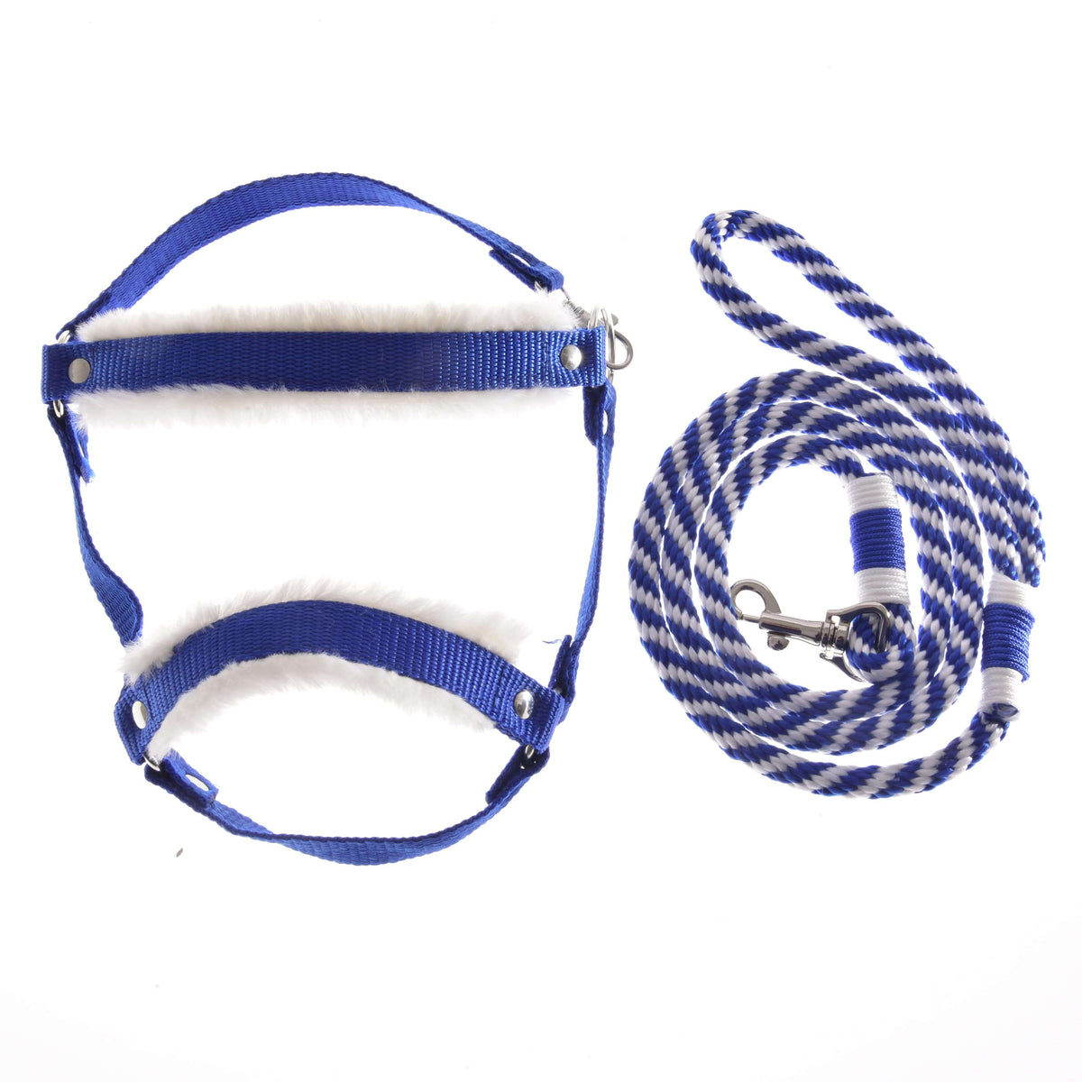 LarDen Hobby Horse szett Essential Blue: királykék kötőfék fehér szőrmebéléssel és kék-fehér sodrott vezetőszár