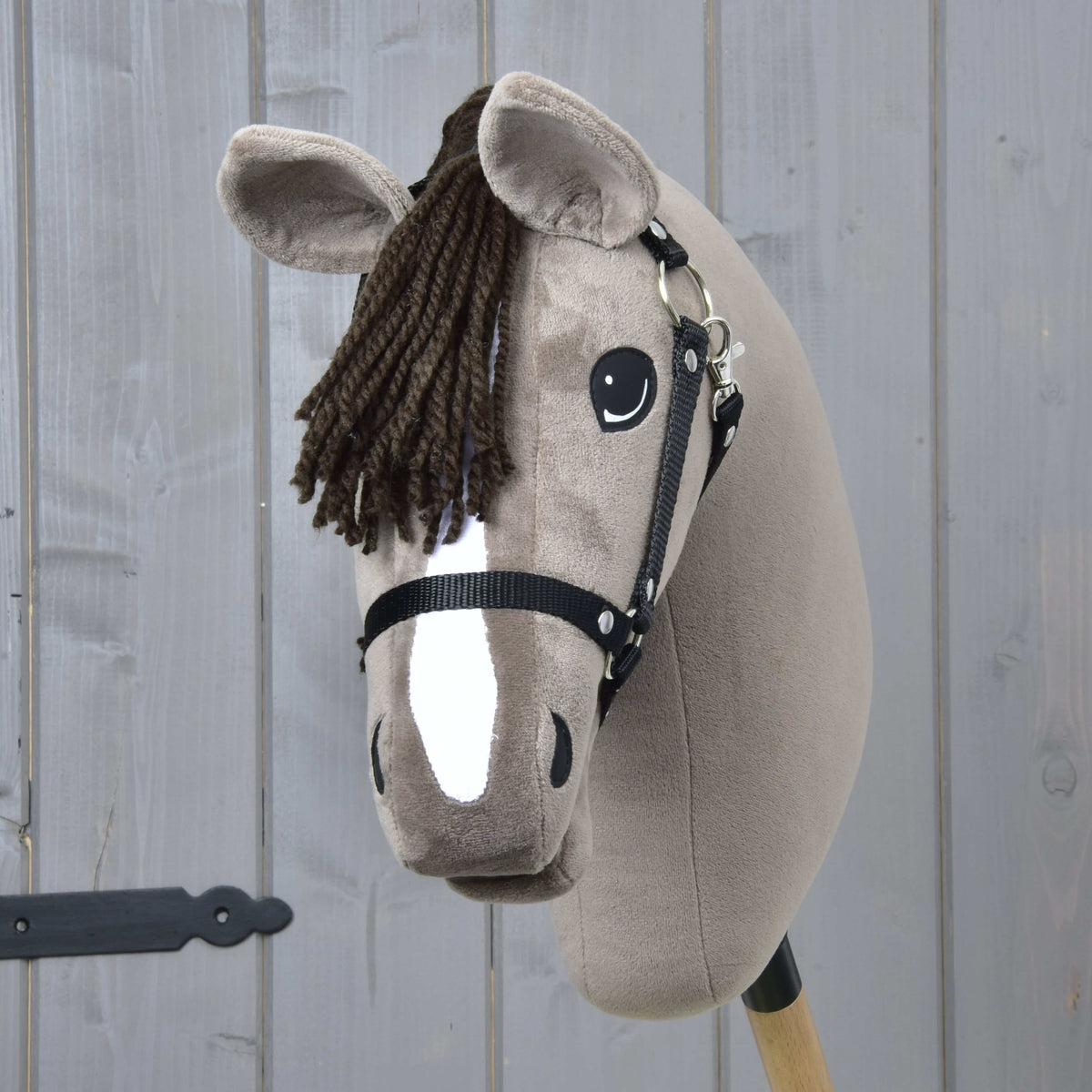Front view of Hobby Horse Guccini with a dark brown yarn forelock, a broad white blaze and a black halter