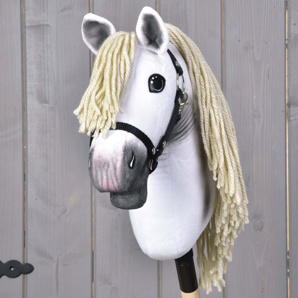 Hobby Horse Little Lady with Black Halter from the front, cream forelock, grey inner ears and a pink-tinged grey muzzle