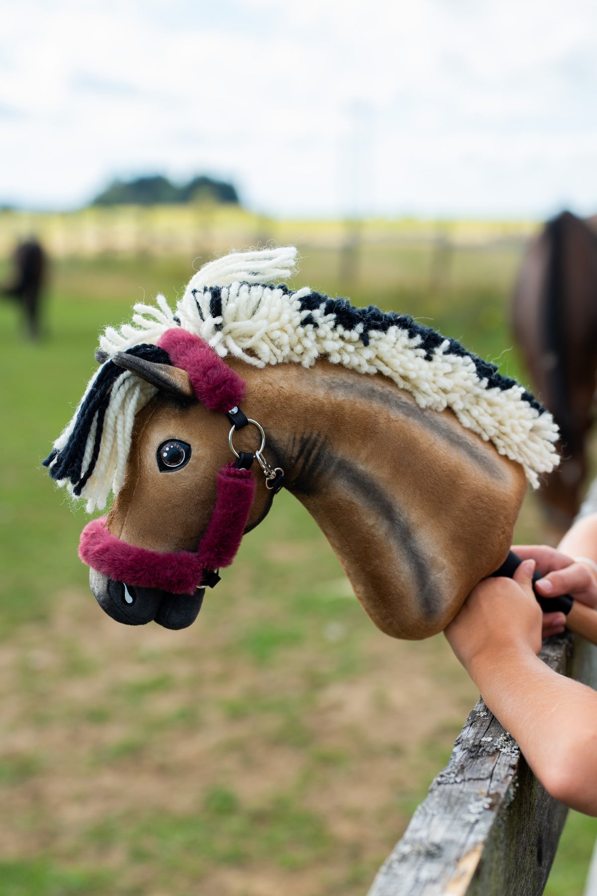Hobby Horse Ozzy bordó szőrmés kötőfékben egy fakerítés korlátján pihen, mögötte igazi lovak a karámban