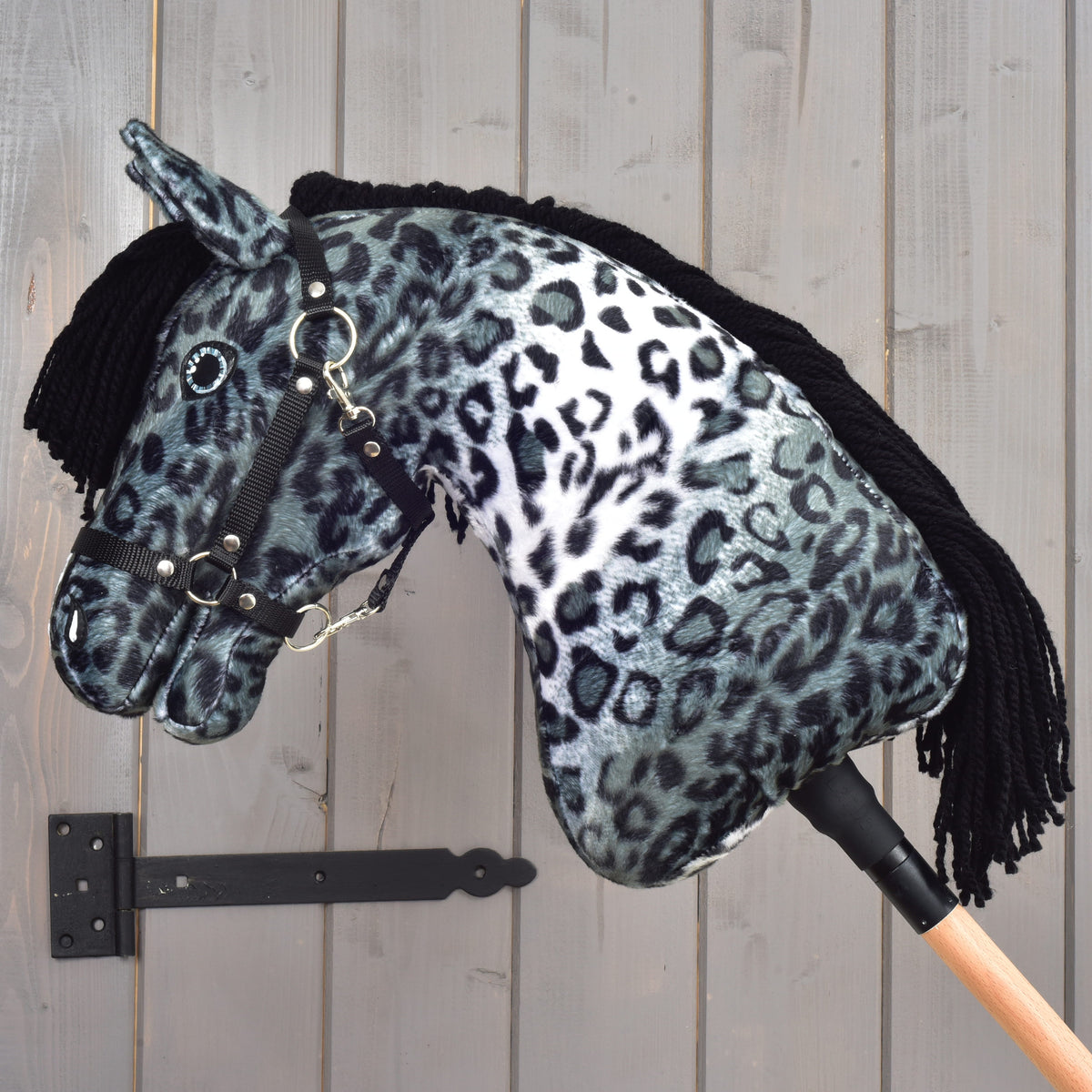 Hobby Horse Picasso with Black Halter facing left with an arched neck, black mane on the far side and silver halter rings