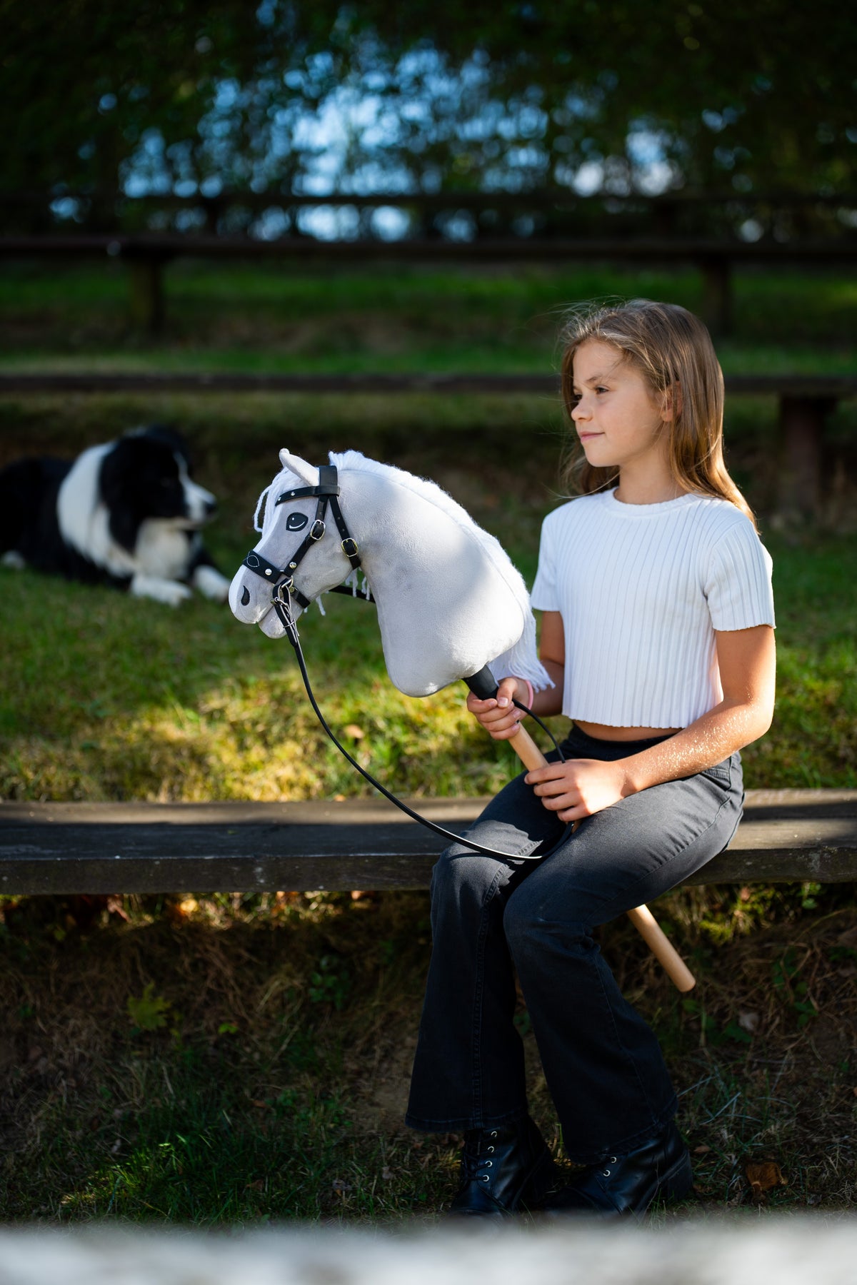 Fehér felsős lány egy padon ül a fekete kantáros világosszürke Hobby Horse lóval, mögötte egy border collie
