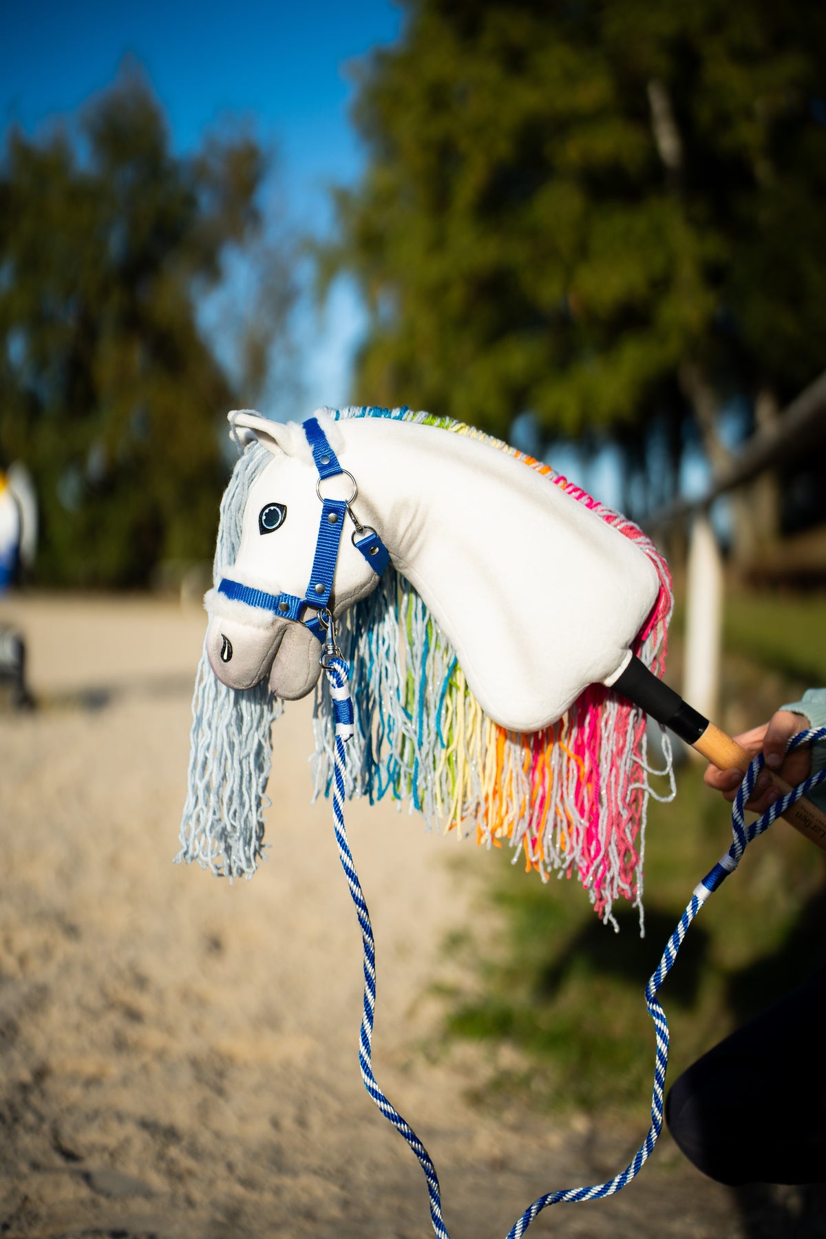 White Hobby Horse with a long rainbow yarn mane and blue halter on the blue and white striped lead rope at a sandy arena
