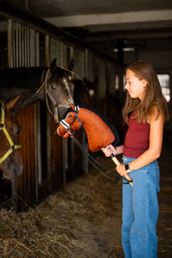 Piros felsős lány egy istállófolyosón gesztenyebarna Hobby Horse lovat tart a fekete szőrmés kantárban, mögötte igazi lovak a boxokban