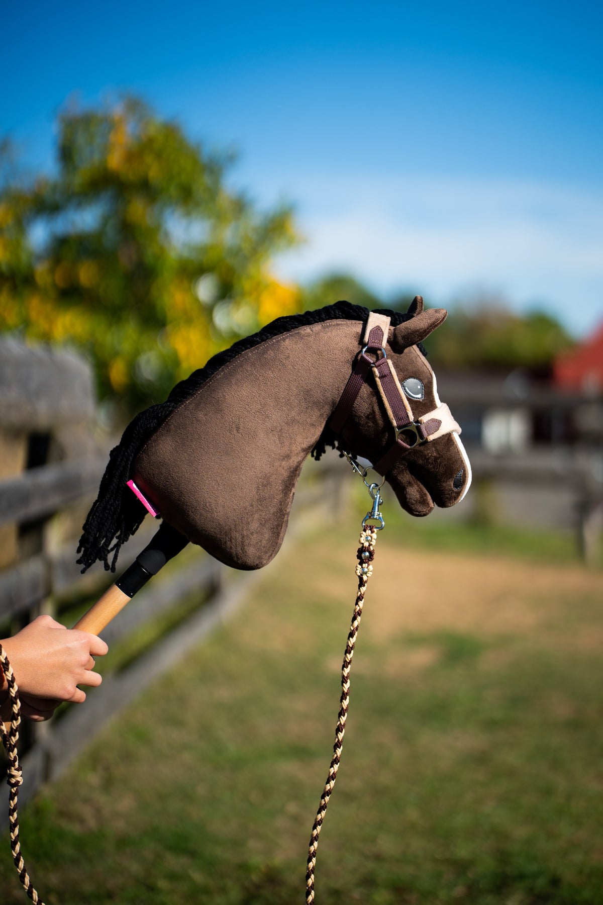 Hobby Horse Sisi ló egy napsütötte karámban, világos orrszíjas barna kötőfékben, fonott vezetőszárral