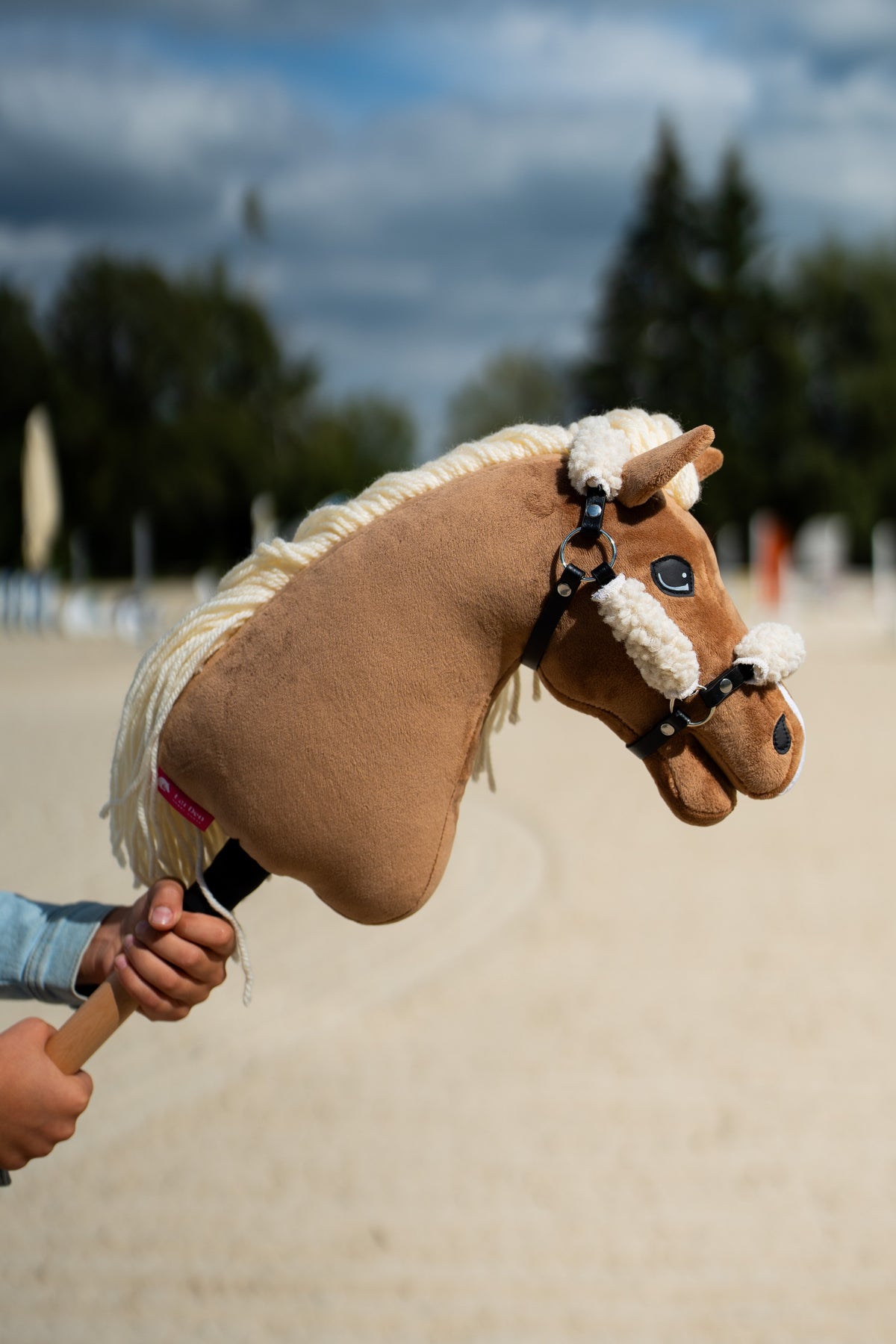 Light brown Hobby Horse Smart in the black halter with complete cream fur, held up on a sand arena under a cloudy sky