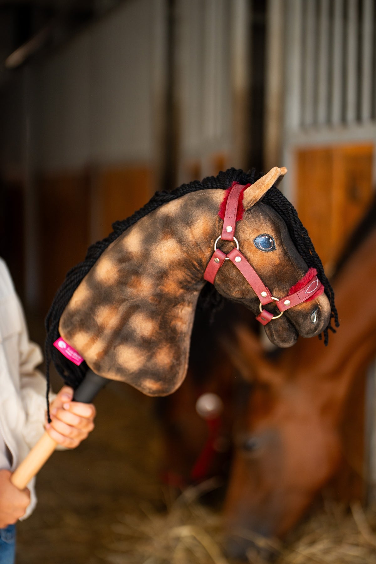 Közeli kép a kék szemű, göndör fekete sörényű, almás barna Hobby Horse Stormy lóról bordó szőrmés kötőfékben