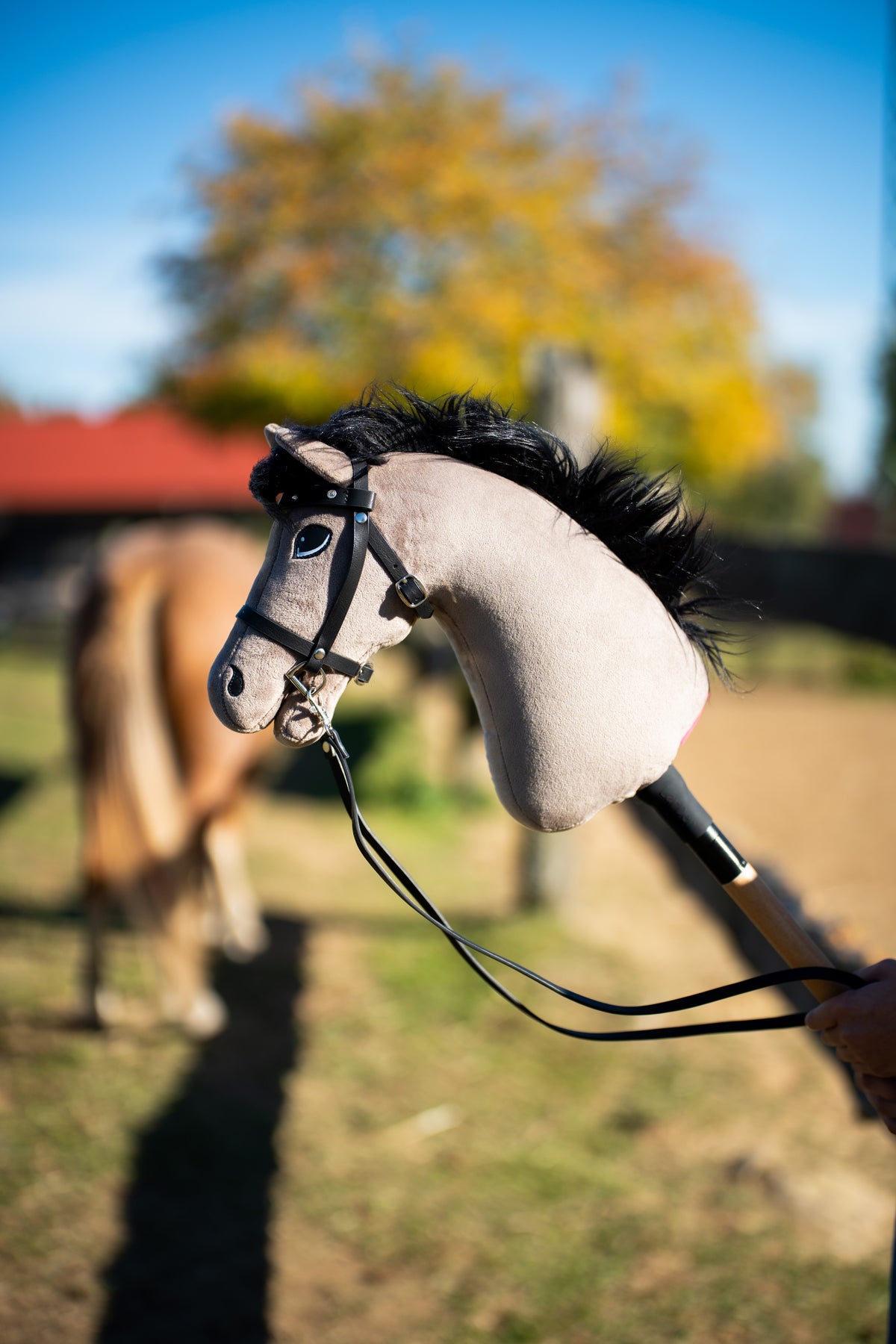 Közeli kép a Hobby Horse Thor lóról fekete kantárban, szárral egy karámban, mögötte elmosódva egy póni és egy őszi fa