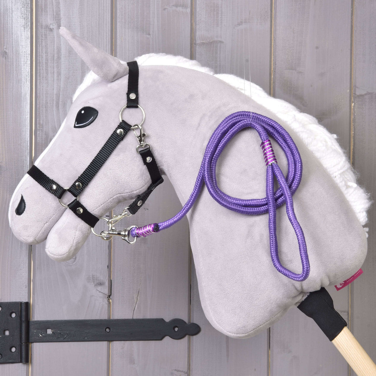 Light grey Hobby Horse in a black halter with the purple rope stripe Viola lead rope hung over its neck