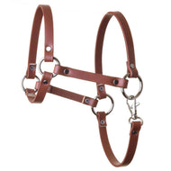 Hobby Horse Halter - brown leatherette by LarDen, shown with silver rings, rivets and a snap hook