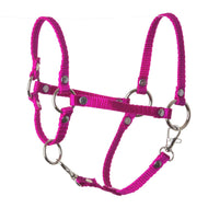LarDen Hobby Horse Halter rose in bright pink webbing with silver rings, rivets and two snap hooks